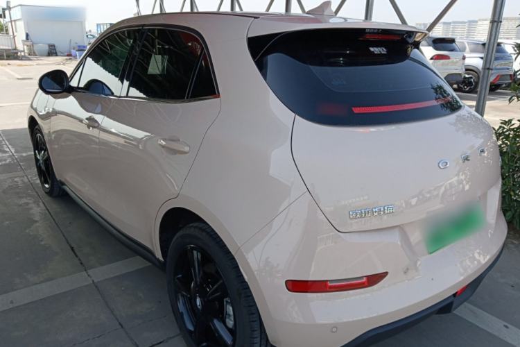 Used ORA Good Cat 2024 401 km Luxury Version