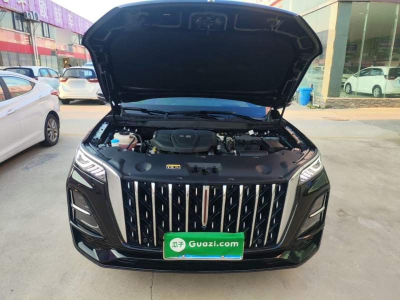 Used Hongqi HS5 2023 2.0T Qixiang Pro Edition — 19
