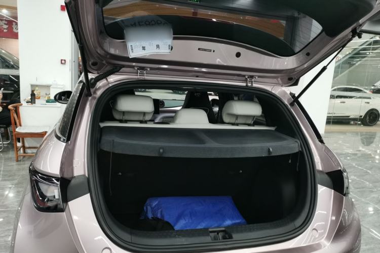 Used BYD Dolphin 2021 405 km Free Version
