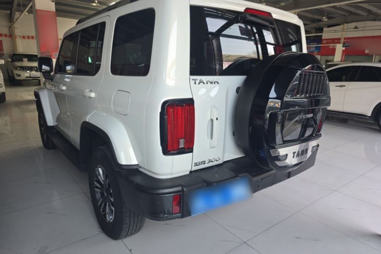 Used Tank 300 2021 City Edition 2.0T My Vision Model Rear Left 45 Deg