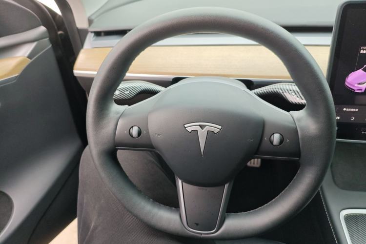 Used Tesla Model Y 2021 Standard Range Rear-Wheel Drive Version
