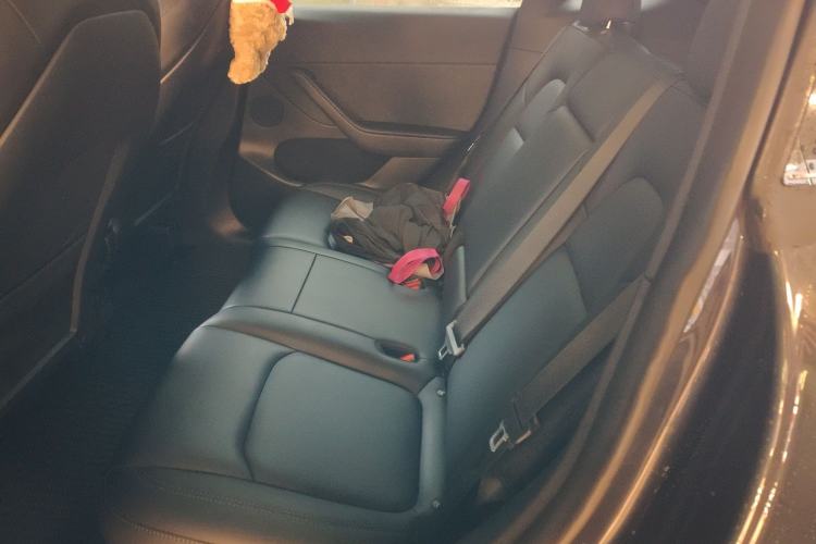 Used Tesla Model Y 2024 Rear-Wheel-Drive Version Left Rear Seat