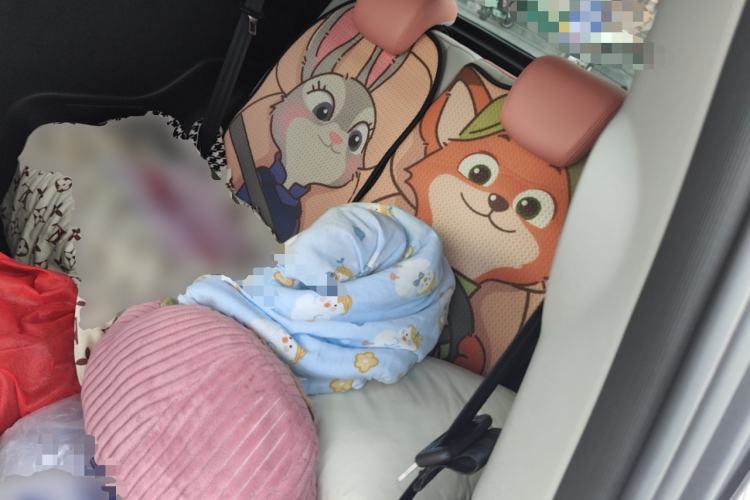 Used Chery QQ Little Ant 2024 Revised Version Youth Edition 251 km True Love Edition 25.05 kWh