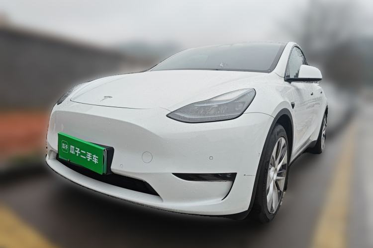 Used Tesla Model Y 2021 Long-Range All-Wheel-Drive Version