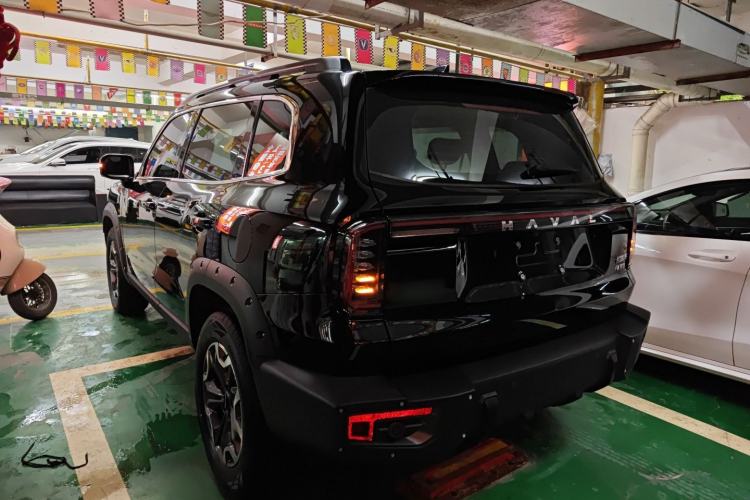 Used Haval DARGO 2024 2.0T DCT Chinese Rural Dog Edition
