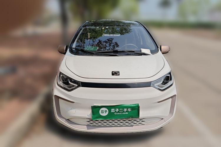 Used SOL E10X 2022 Flower Fairy Design Four-Leaf Clover