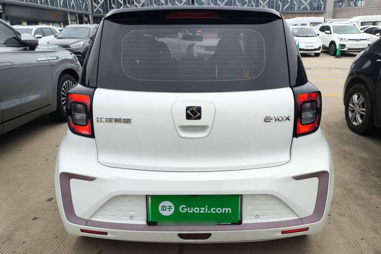 Used SOL E10X 2022 Flower Fairy Design Four-Leaf Clover Exterior 4