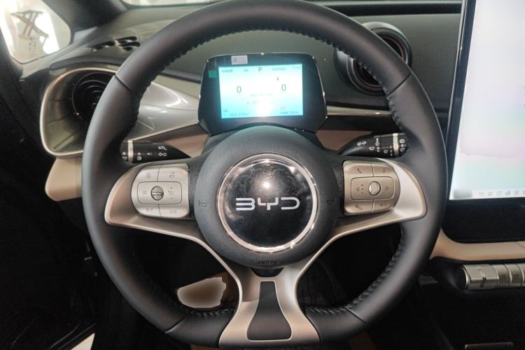 Used BYD Dolphin 2025 420km Free Edition Steering Wheel