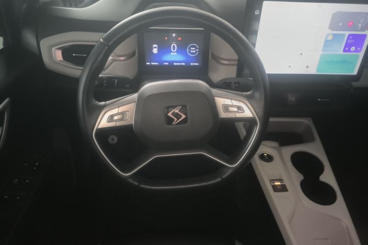 Used SOL E10X 2022 Flower Fairy Style Baby's Breath