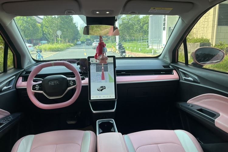 Used NETA V 2021 Witch Edition
