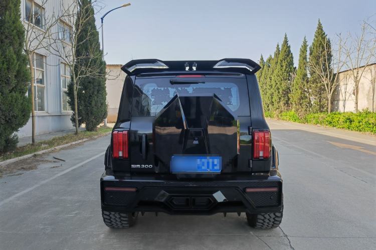 Used Tank 300 2024 2.0T Conqueror Exterior 4