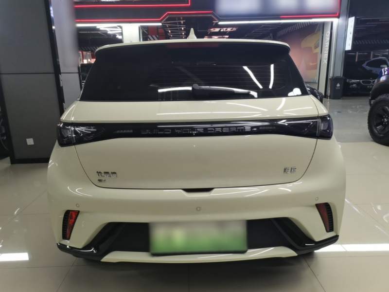 Used BYD Dolphin 2025 420km Free Edition — 5