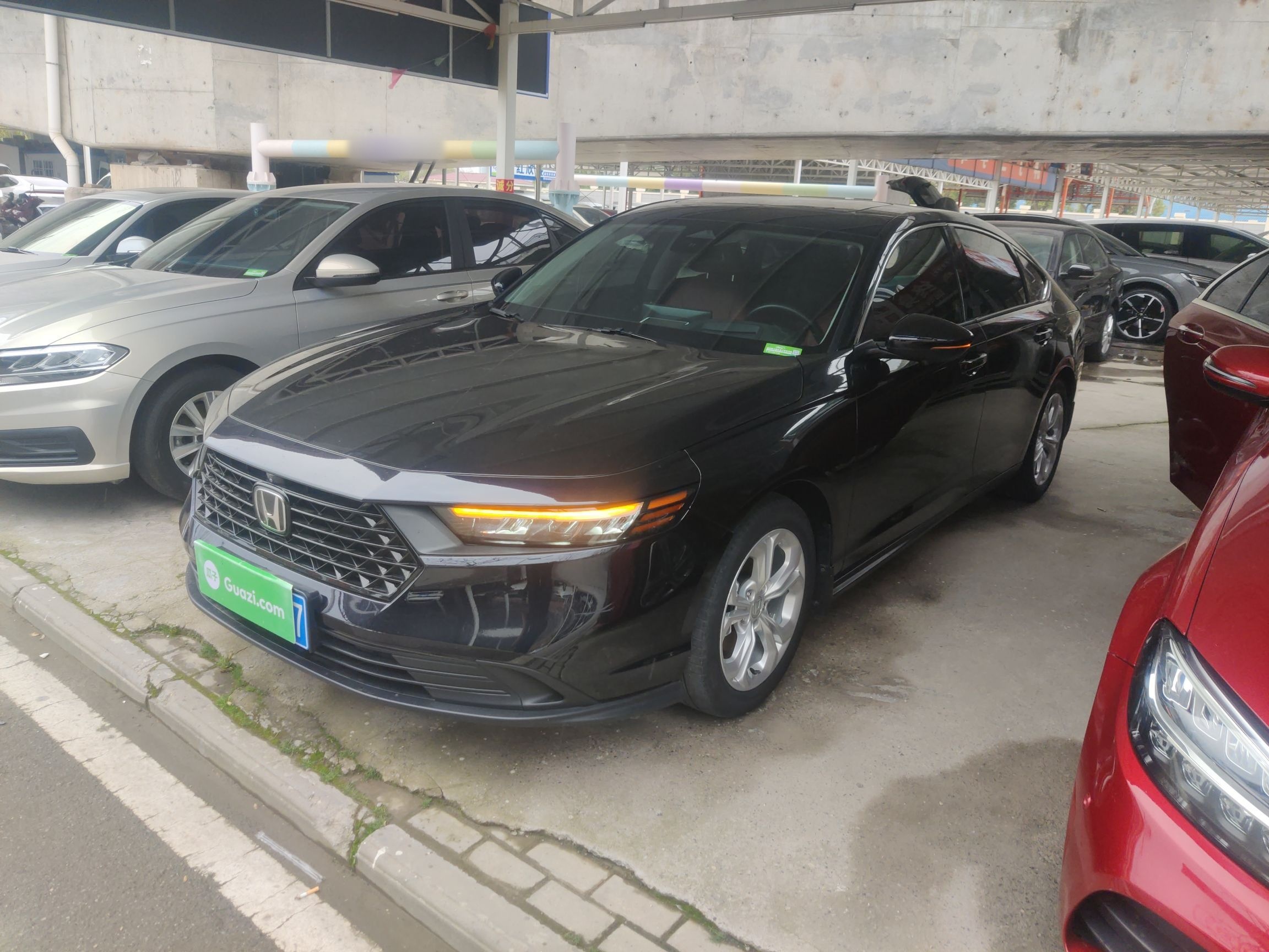 Parte inferior delantera