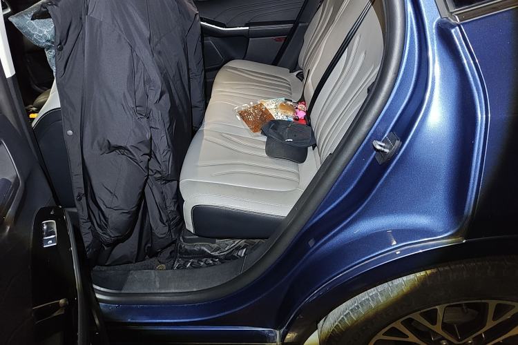 Used Ford Escape 2020 EcoBoost 245 Four-Wheel Drive Luxury Edition Left Rear Seat