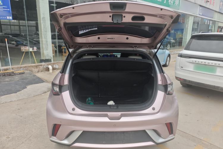 Used BYD Dolphin 2021 405 km Fashion Edition
