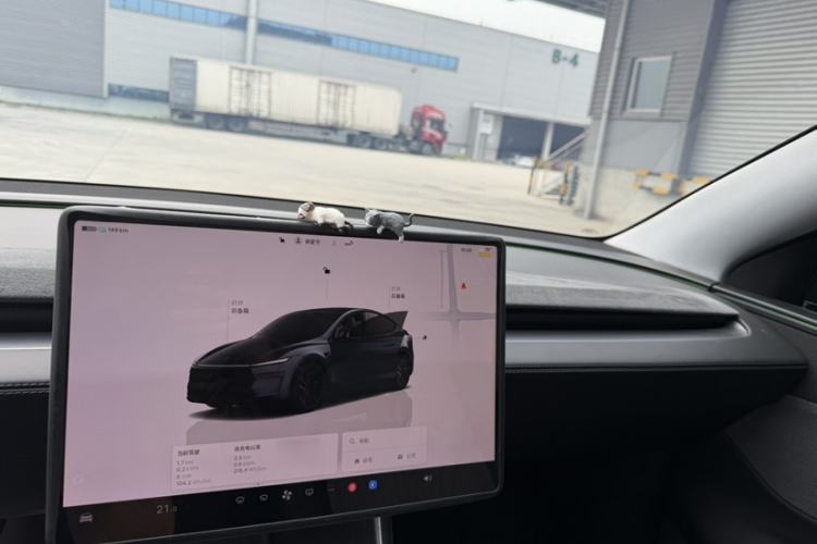 Used Tesla Model Y 2025 Rear-Wheel Drive First Edition Interior 5