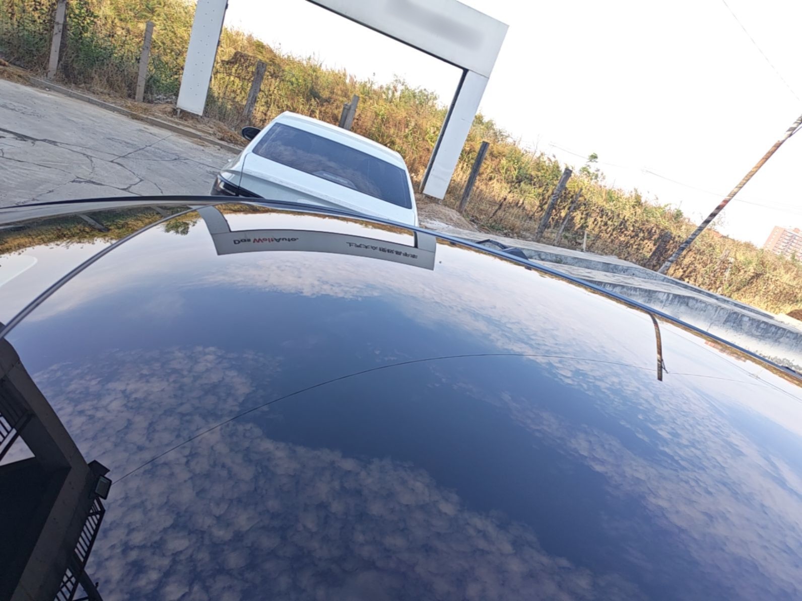 BYD Dolphin 2023 420 km Fashion Edition — снимка 7