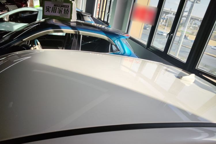 Used Dayun Yuehu 2022 30.66 kWh Two-Wheel Drive Standard Version
