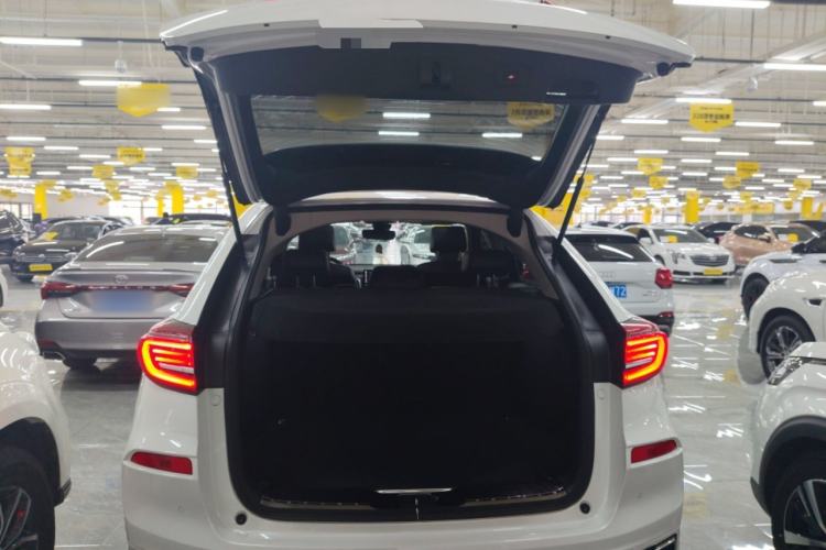 Used Honda Avancier 2020 370TURBO Four-Wheel Drive Premium Edition