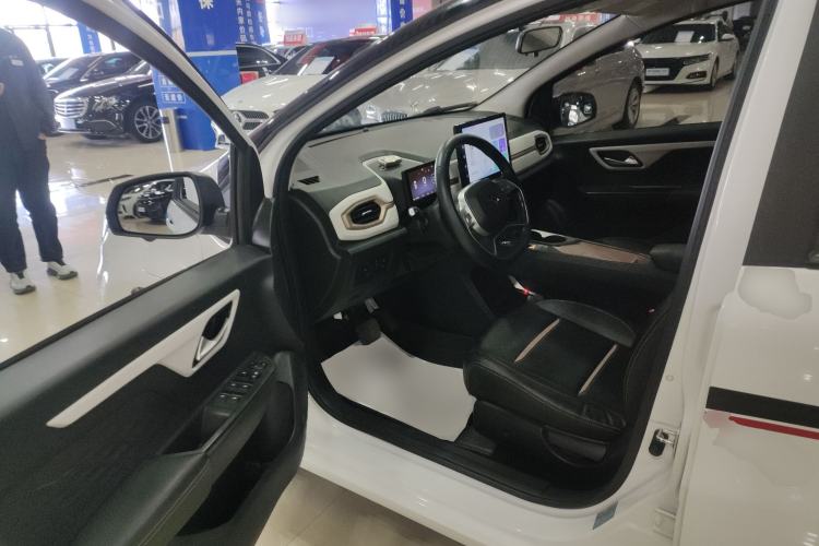 Used SOL E10X 2022 Flower Fairy Design Sunflower