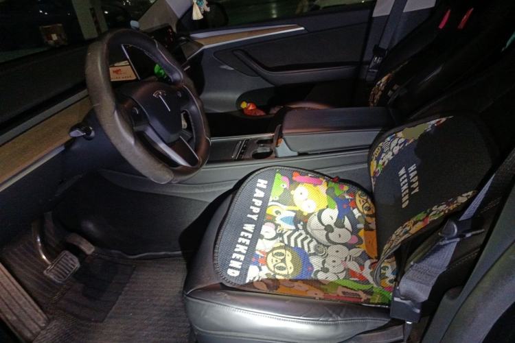 Used Tesla Model Y 2022 Long-Range All-Wheel-Drive Version