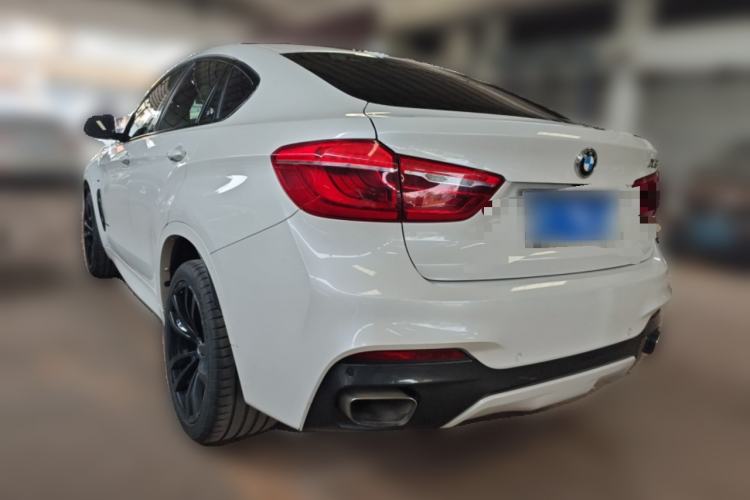 Used BMW X6 2019 xDrive35i M Sport Package Rear Left 45 Deg