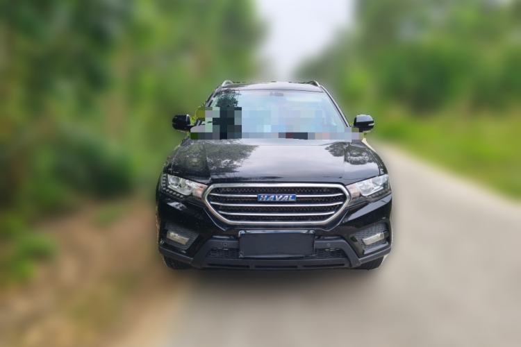 Used Haval H6 Coupe 2016 Blue Label 1.5T Automatic Two-Wheel Drive Elite Model
