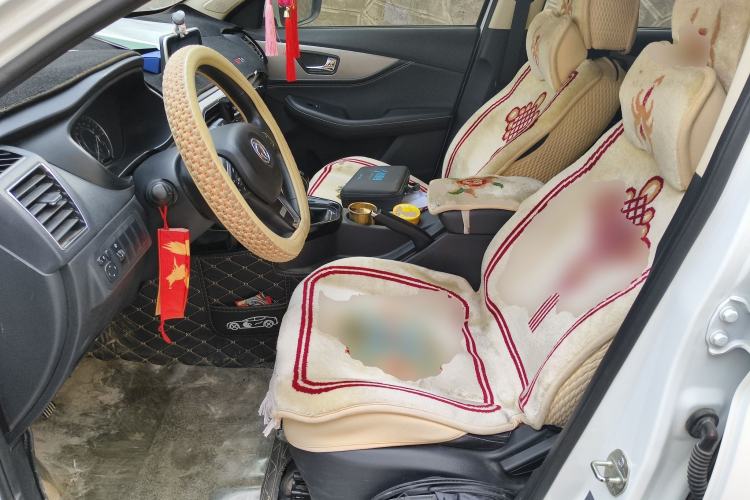 Used Dongfeng Fengon S560 2019 1.8L Manual Urban Model Left Front Seat