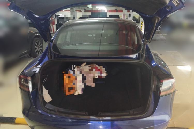 Used Tesla Model 3 2020 Refreshed Version Long-Range Rear-Wheel Drive