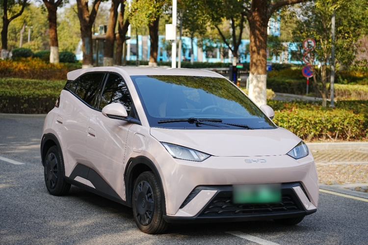 Used BYD Seagull 2024 Honor Edition 305km Dynamic Version Exterior 7