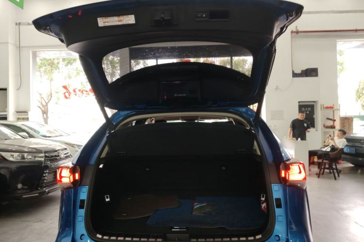 Used Lexus NX 2018 200 All-Wheel Drive Fēngshàng Version China V Standard