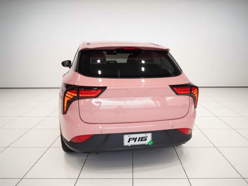 Used NETA V 2022 Chao 400 Lite Pink Custom Edition — 5