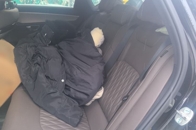 Used BYD Han 2024 DM-i Glory Edition 121KM Elite Model