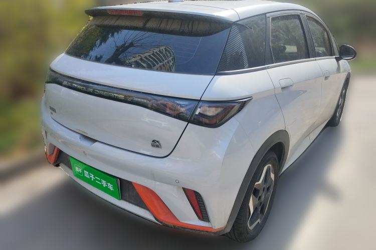 Used BYD Dolphin 2021 405 km Free Version