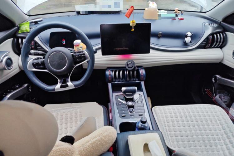 Used BYD Yuan PLUS 2022 510 km Flagship Version Center Console