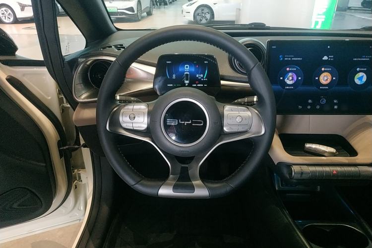 Used BYD Dolphin 2023 420 km Free Version Steering Wheel