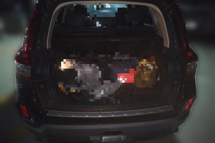 Used Geely Auto Vision X6 2016 1.3T CVT Flagship Model