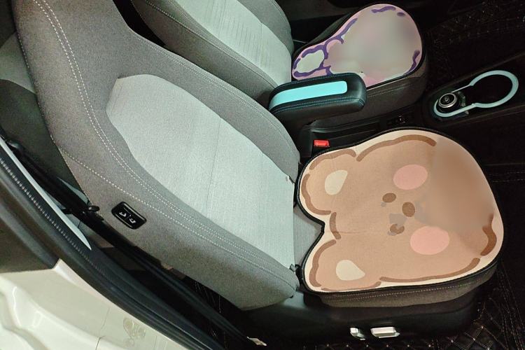 Used Chery New Energy Little Ant 2021 150 000 Yuan "Ant Fan" Edition New Ant Cool Version Lithium-Ion Battery