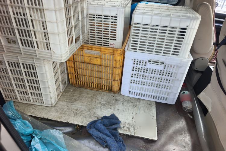 Used FORTHING Lingzhi 2022 M5L 1.6L Utility Model 7 Seats Left Rear Seat