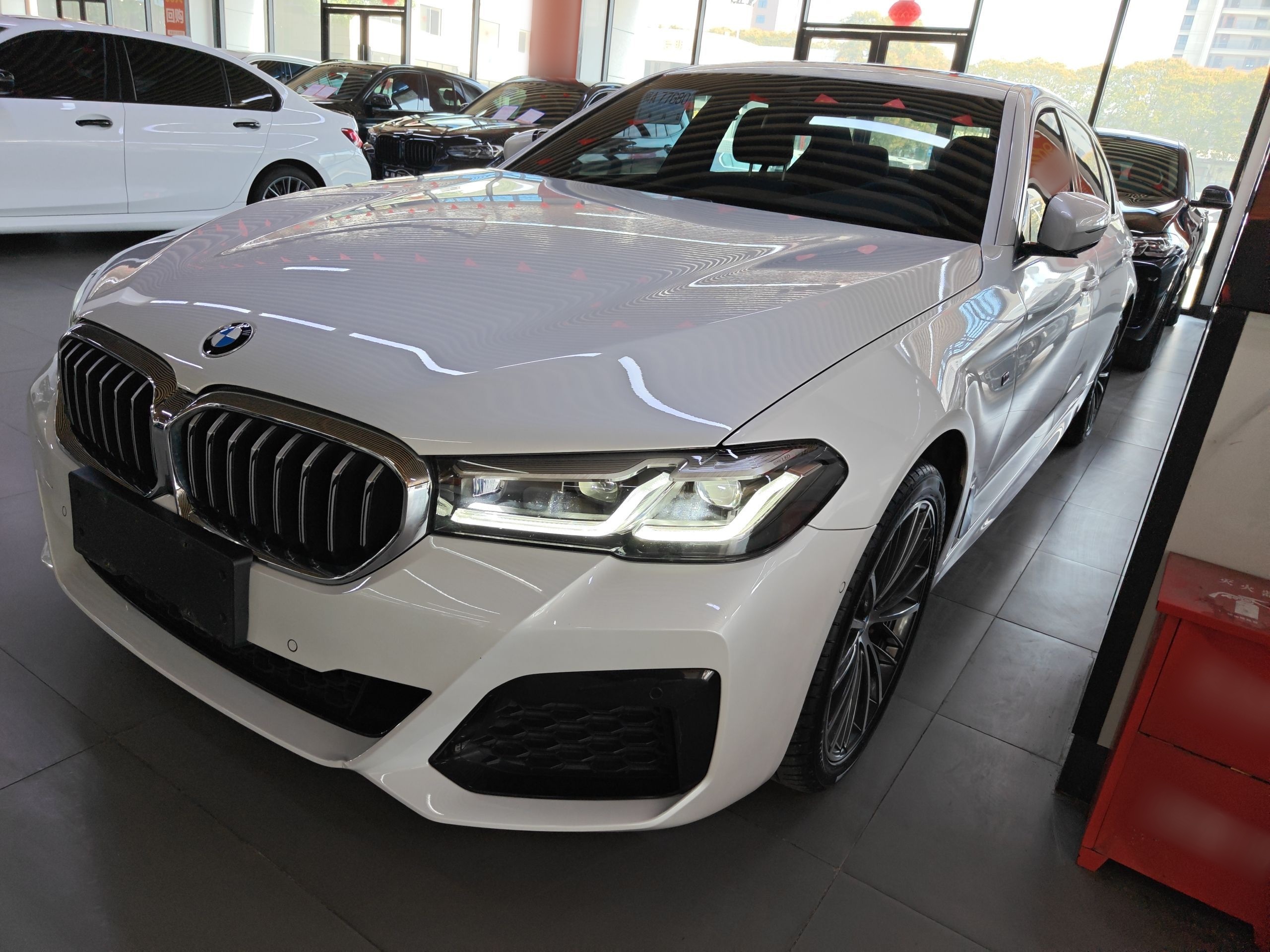 Parte inferior delantera