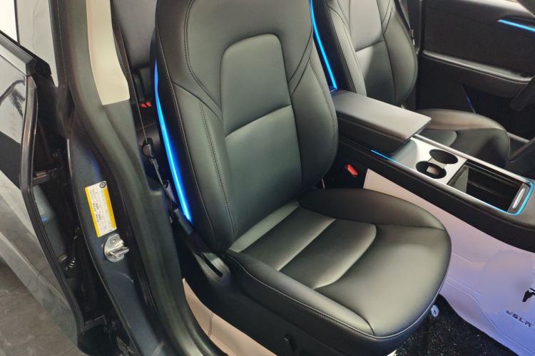 Used Tesla Model Y 2021 Standard Range Rear-Wheel Drive Version
