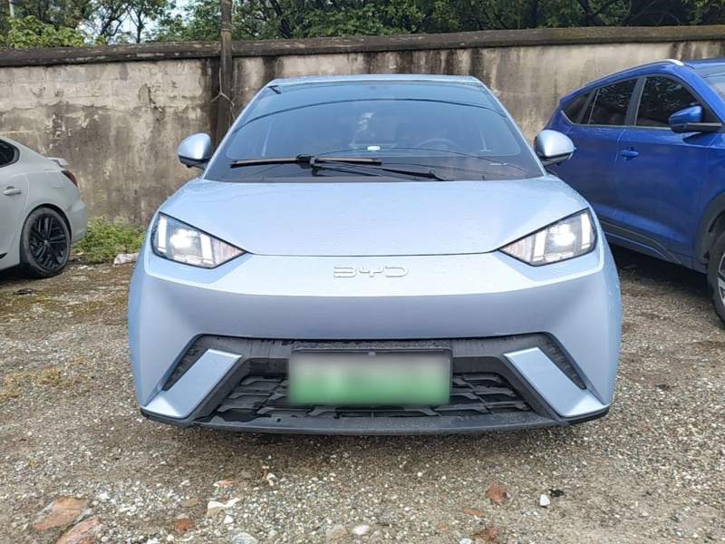 Used BYD Seagull 2025 305 km Free Version — 2