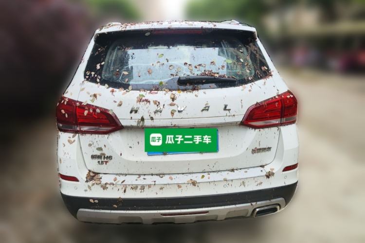 Used Haval H6 2017 Blue Label Sport Edition 1.5T Automatic Two-Wheel Drive Luxury Model Rear