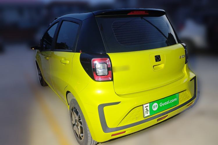 Used SOL E10X 2022 Flower Fairy Style Baby's Breath