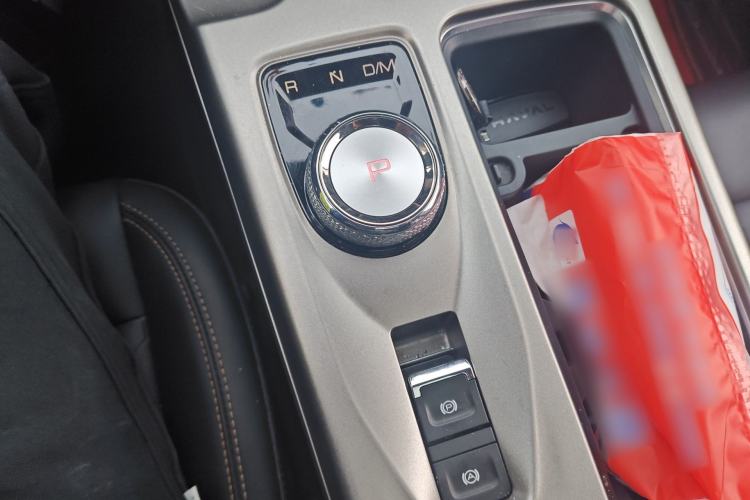 Used Haval DARGO 2024 2.0T DCT Chinese Rural Dog Edition
