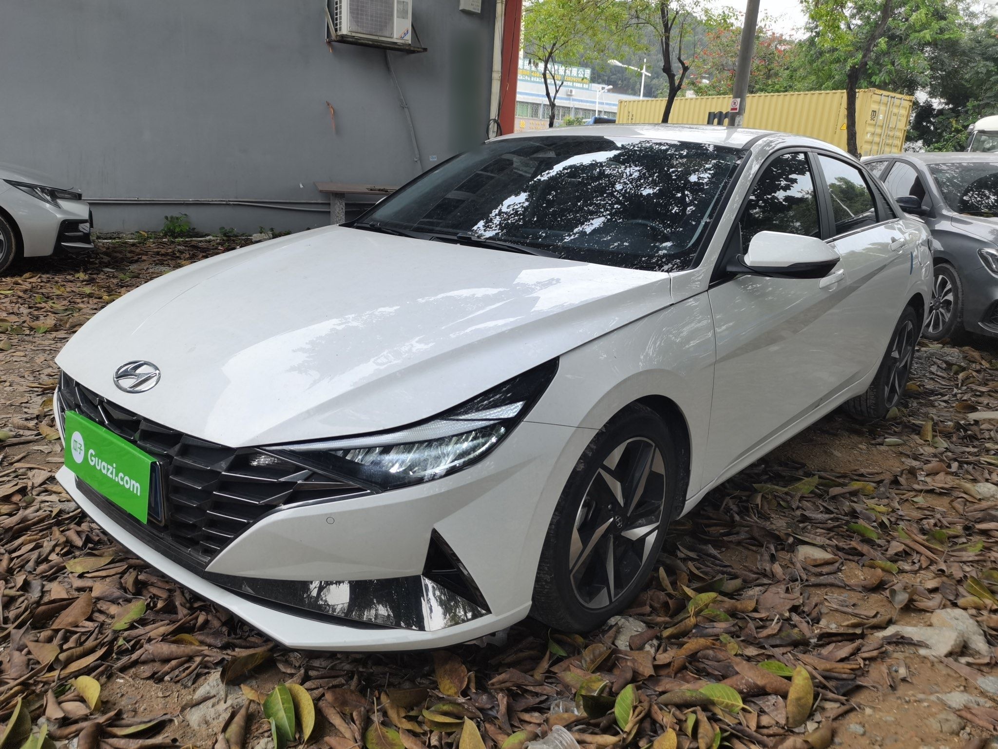 تحت مقدمة السيارة