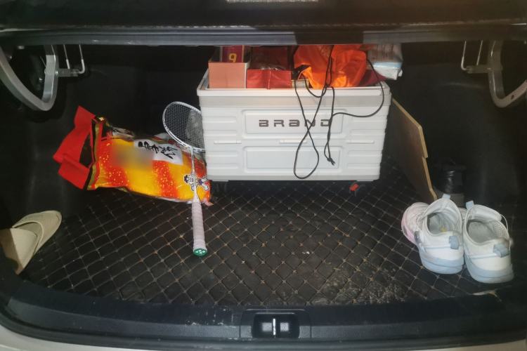 Used Toyota Levin 2021 185T CVT Luxury Edition Trunk