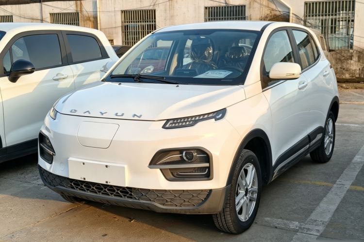 Used Dayun Yuehu 2023 300 Standard Edition