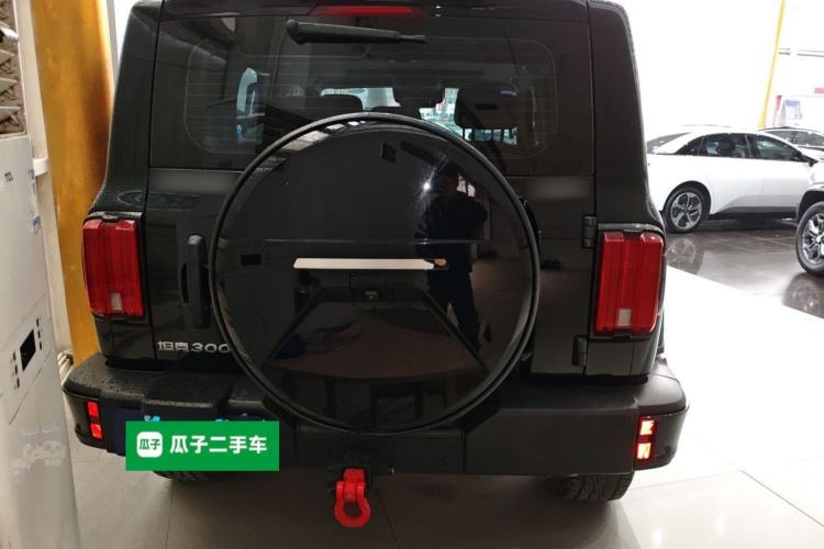 Used Tank 300 2024 2.0T Conqueror
