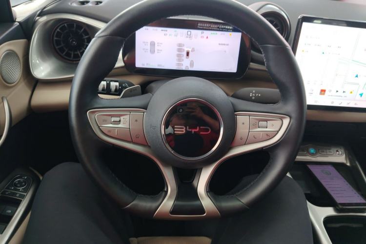 Used BYD Dolphin 2025 Intelligent Driving Version 410 km Fashion Edition